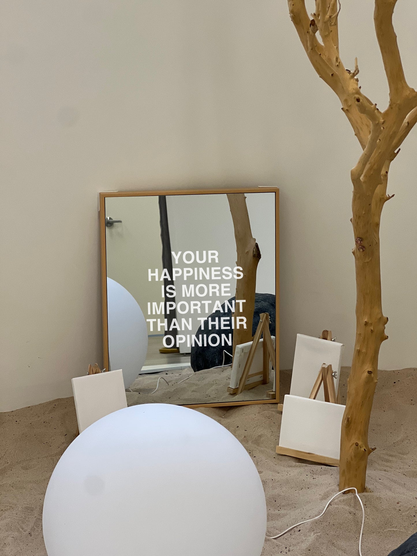 Happiness Reflects